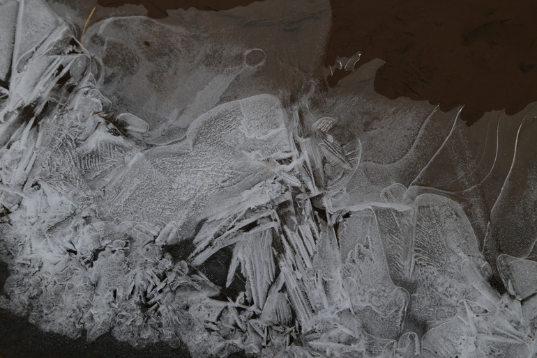 点击查看原图大小