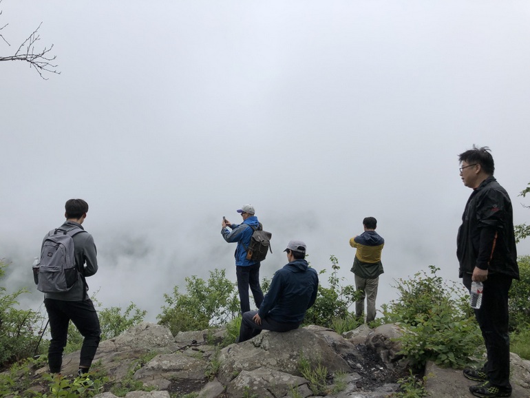 点击查看原图大小