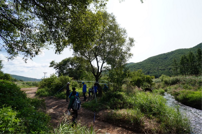 点击查看原图大小