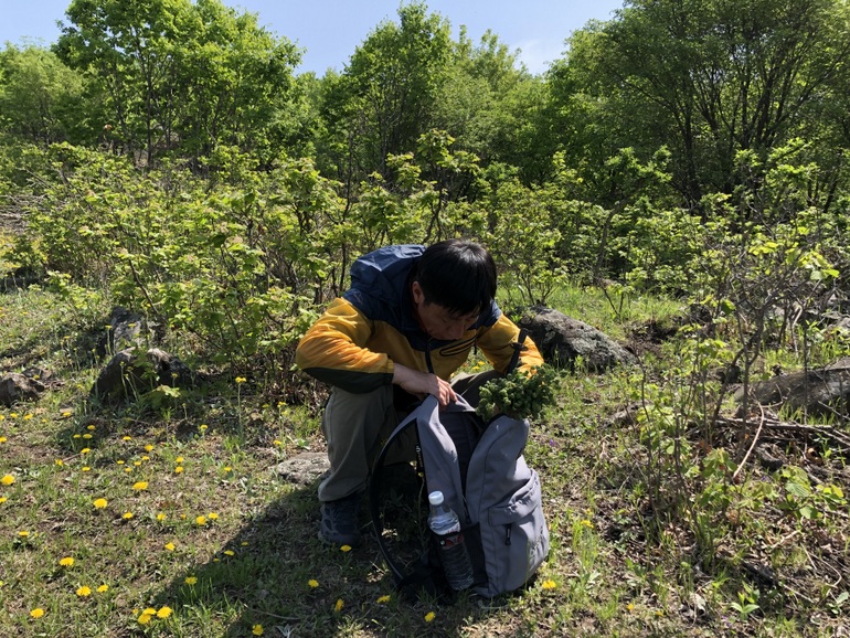 点击查看原图大小