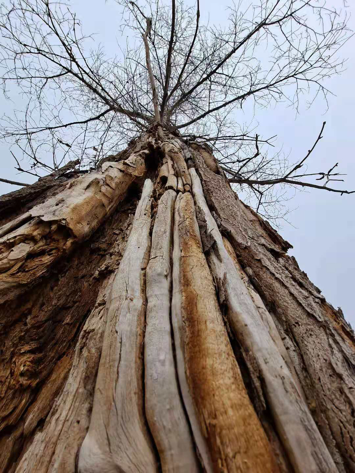 点击查看原图大小