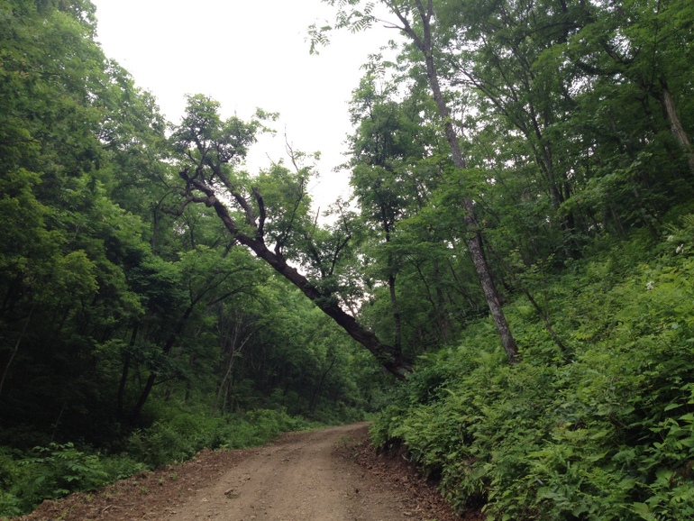 点击查看原图大小