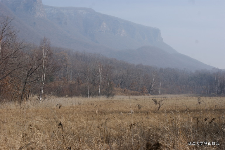 点击查看原图大小