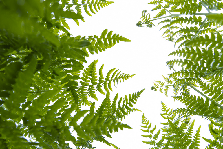 点击查看原图大小