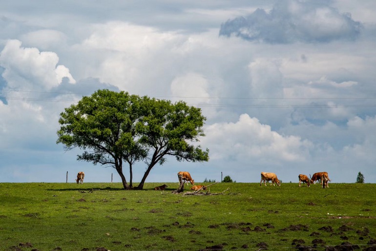 点击查看原图大小