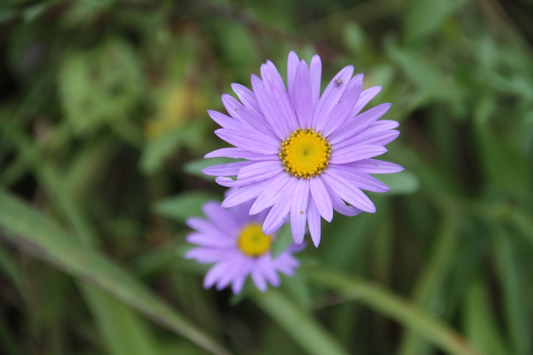 点击查看原图大小