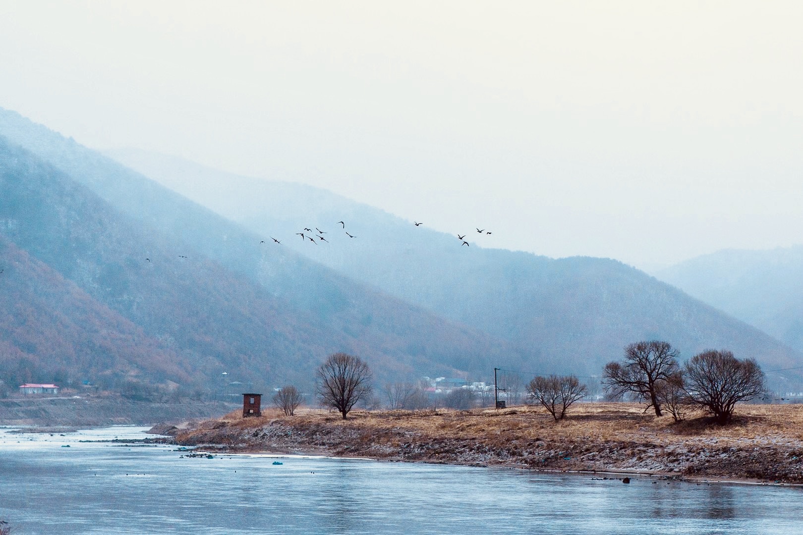 点击查看原图大小