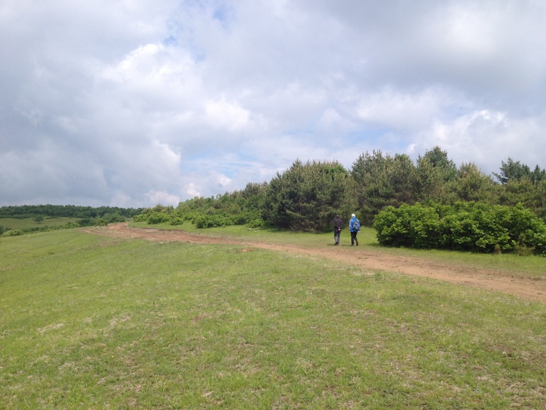 点击查看原图大小