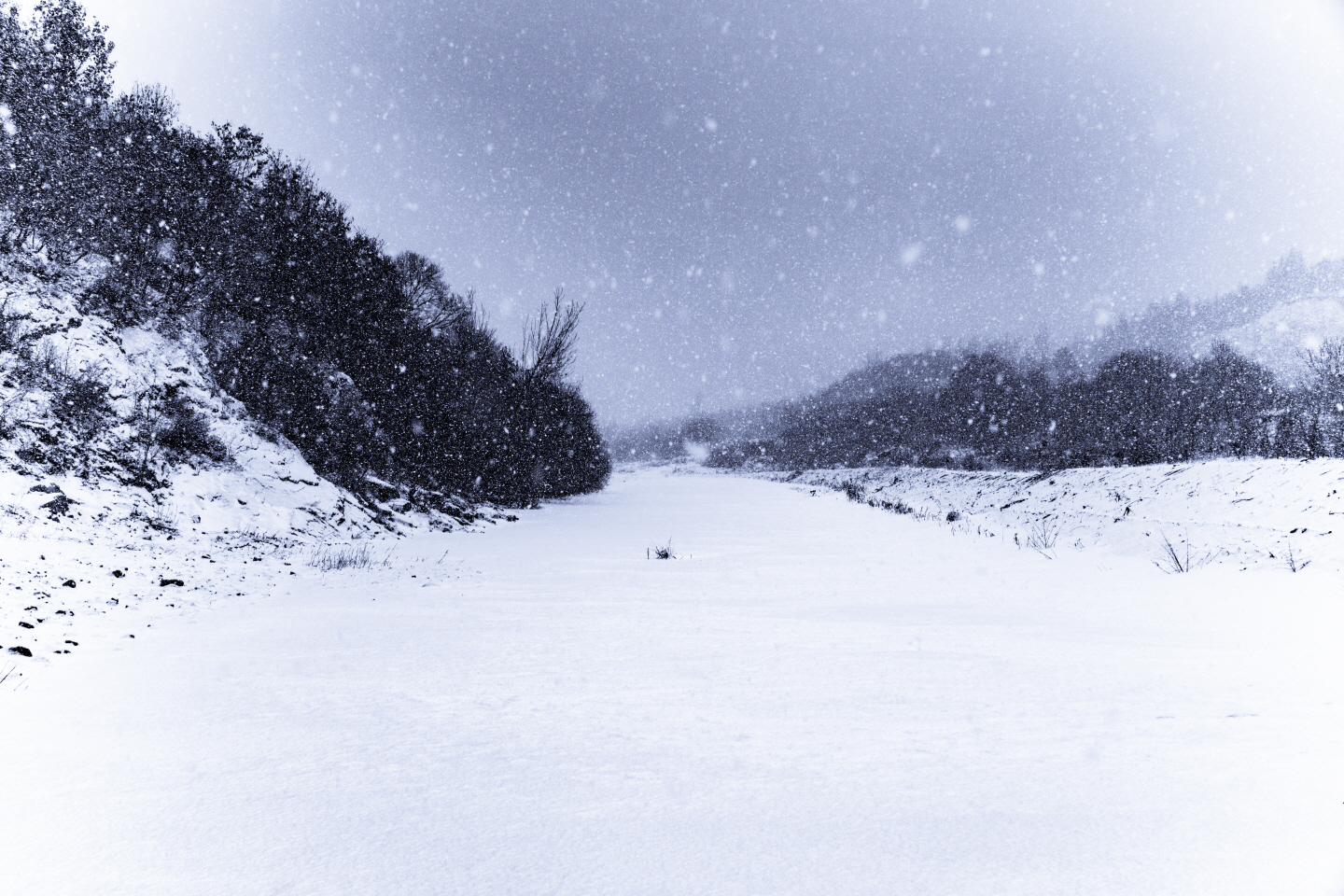 点击查看原图大小