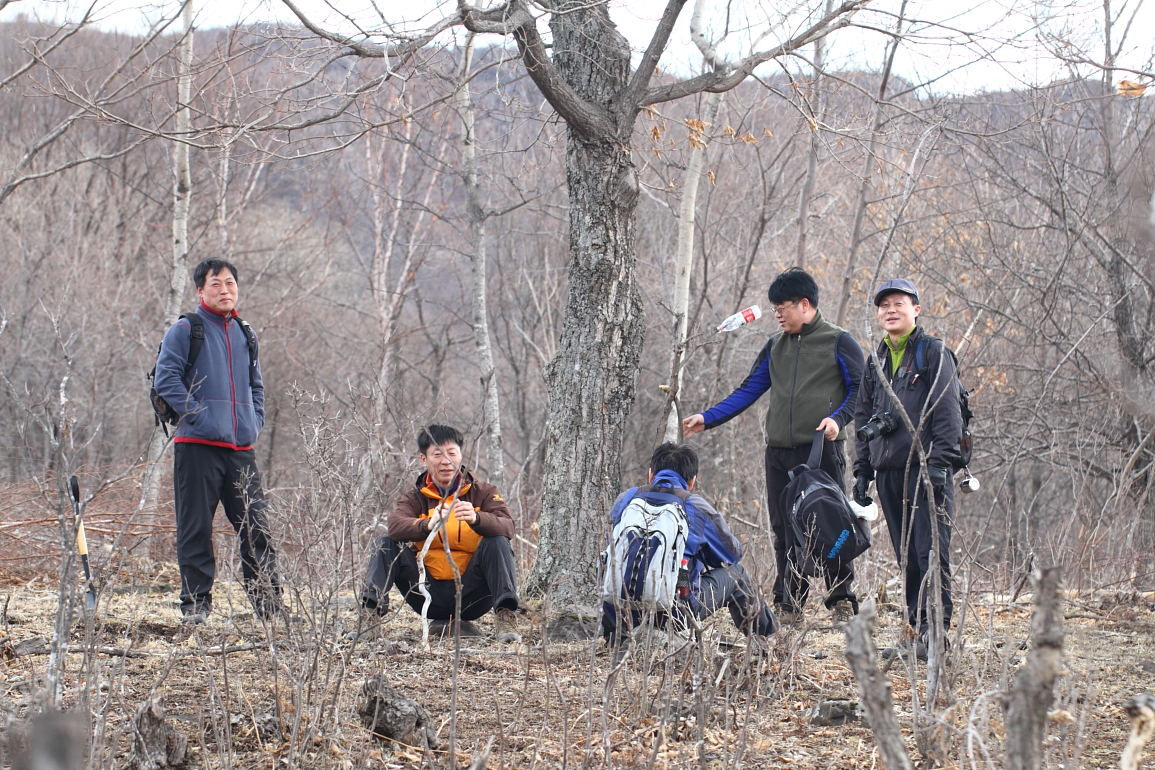 点击查看原图大小