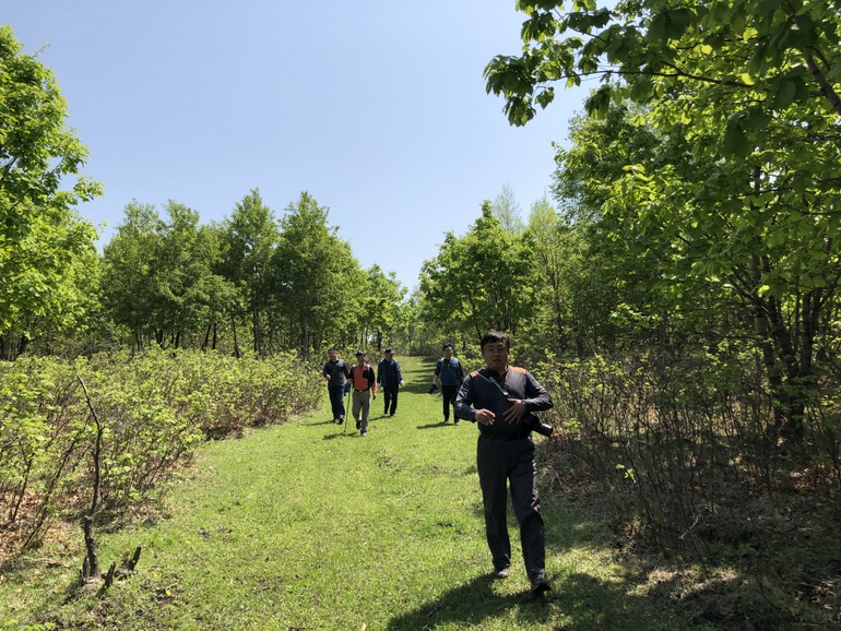 点击查看原图大小