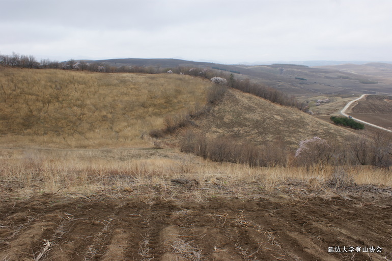 点击查看原图大小