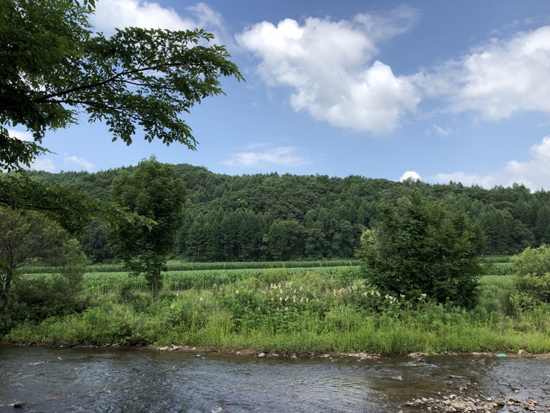 点击查看原图大小