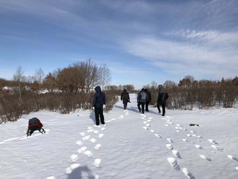 点击查看原图大小