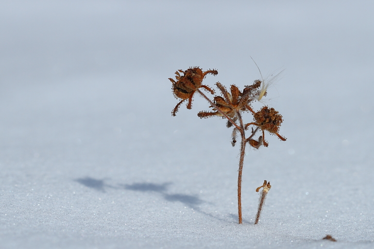点击查看原图大小