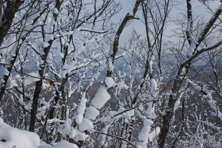 点击查看原图大小