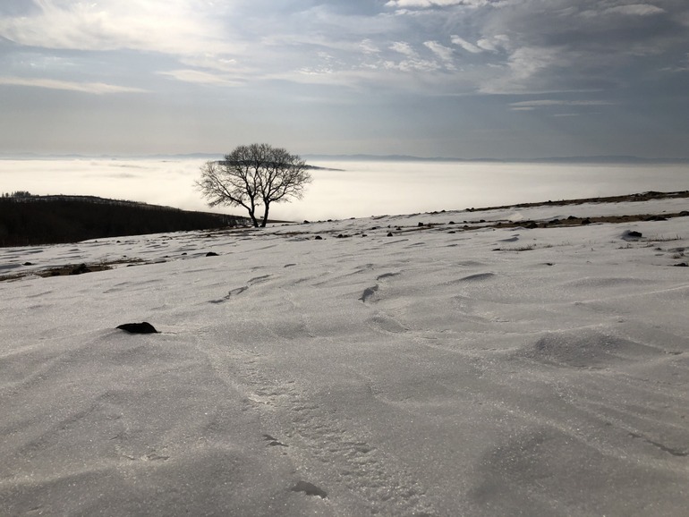 点击查看原图大小