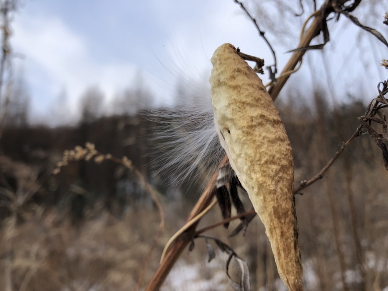 点击查看原图大小