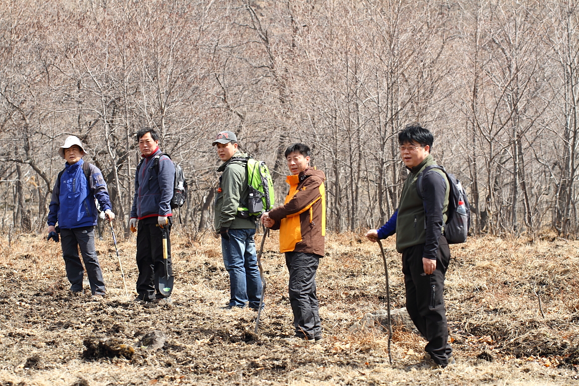 点击查看原图大小
