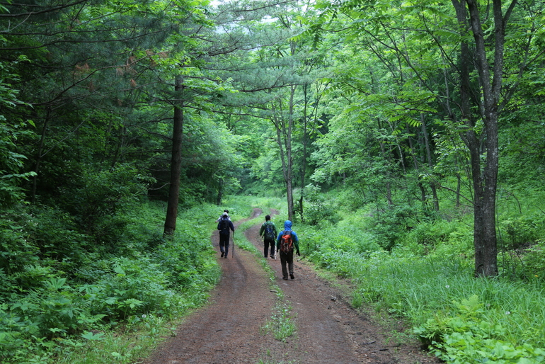点击查看原图大小