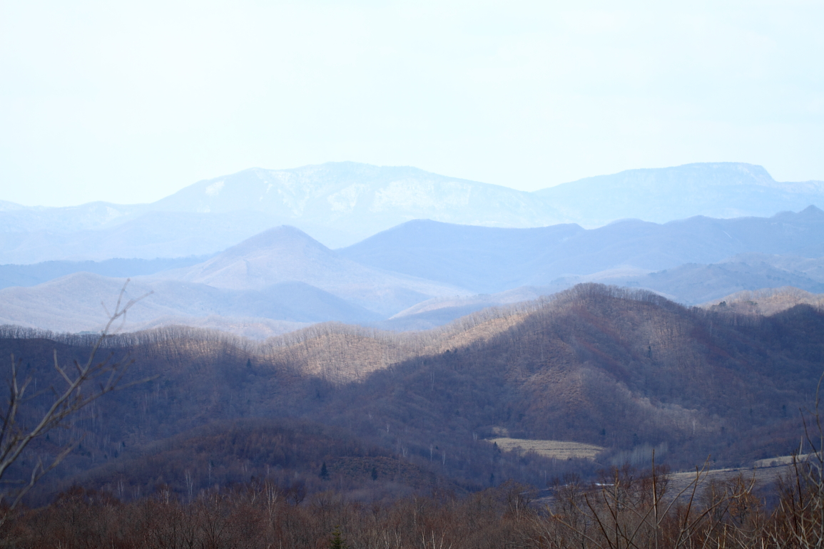 点击查看原图大小