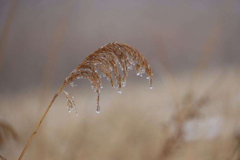 点击查看原图大小