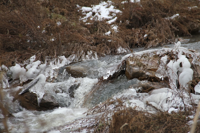 点击查看原图大小