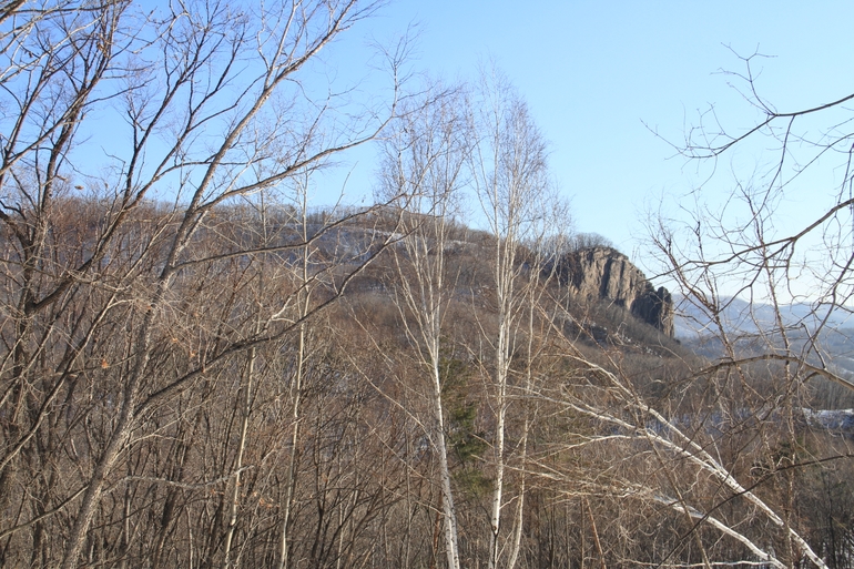 点击查看原图大小