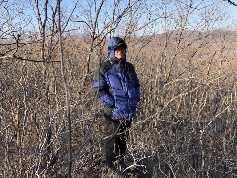 点击查看原图大小