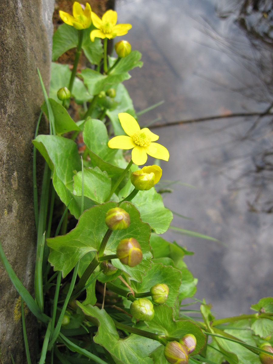 点击查看原图大小