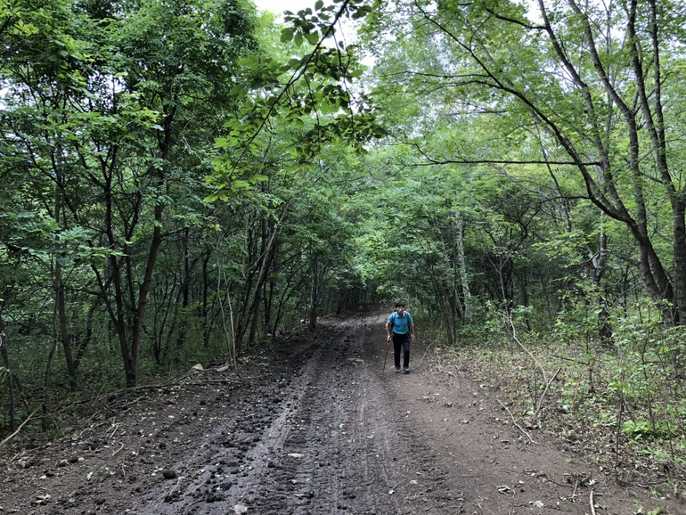 点击查看原图大小