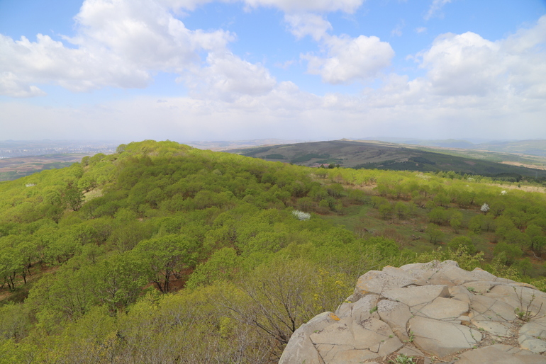 点击查看原图大小