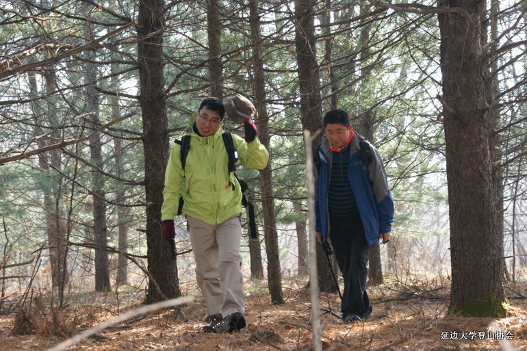 点击查看原图大小