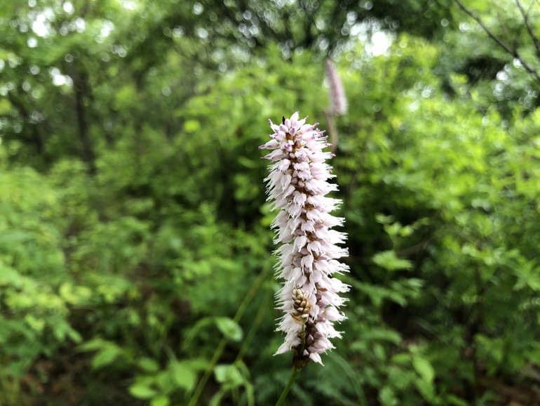 点击查看原图大小