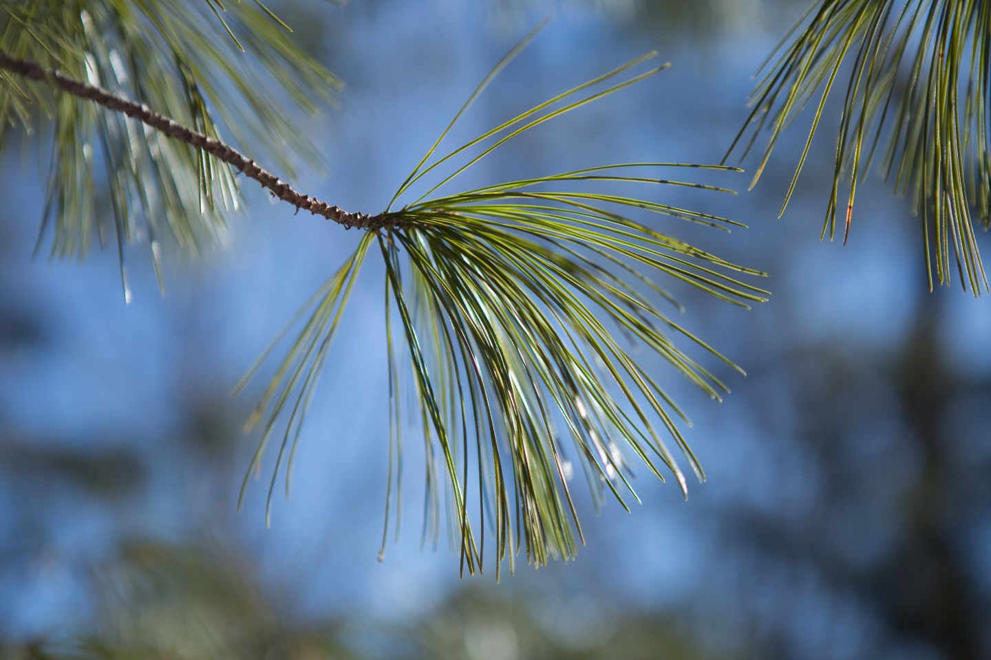 点击查看原图大小