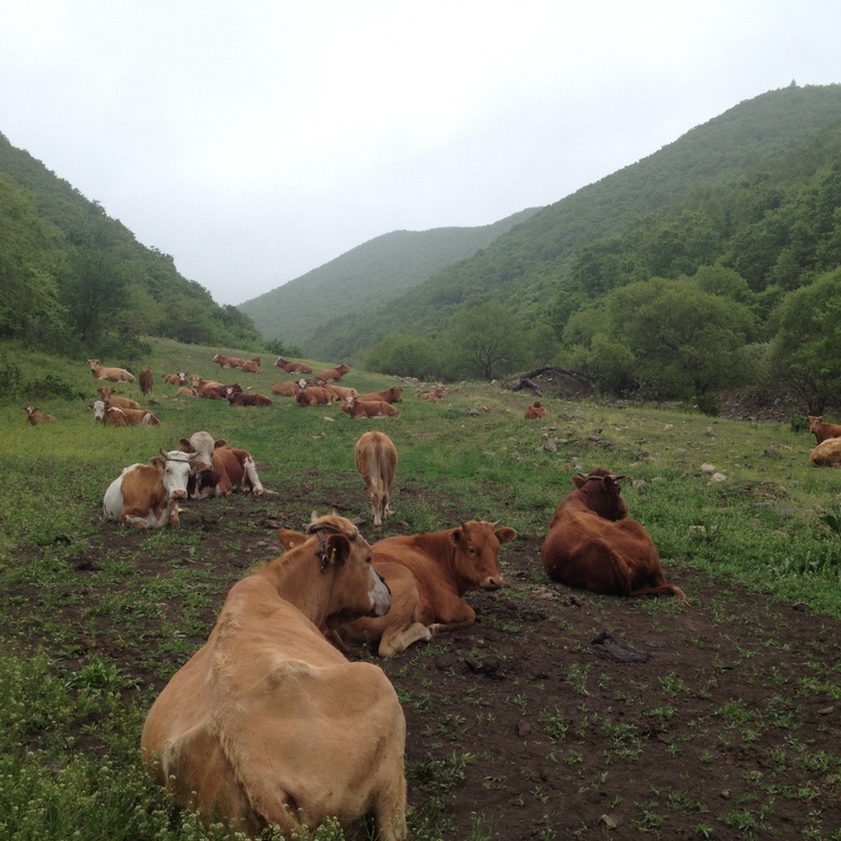 点击查看原图大小