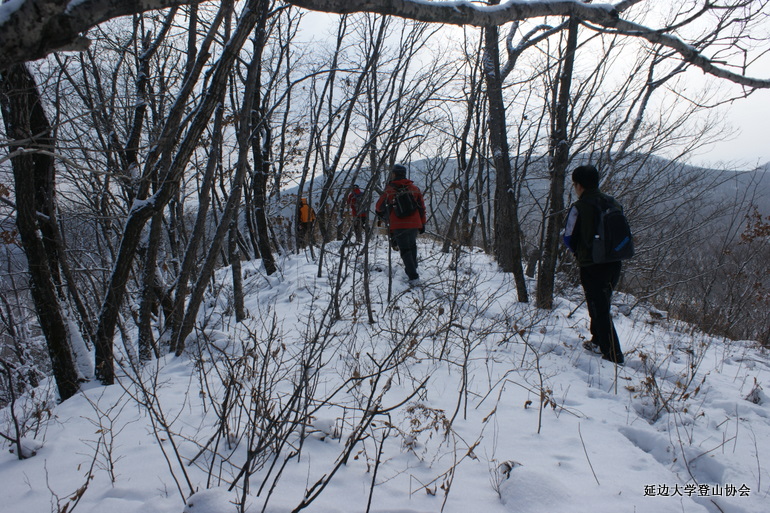 点击查看原图大小