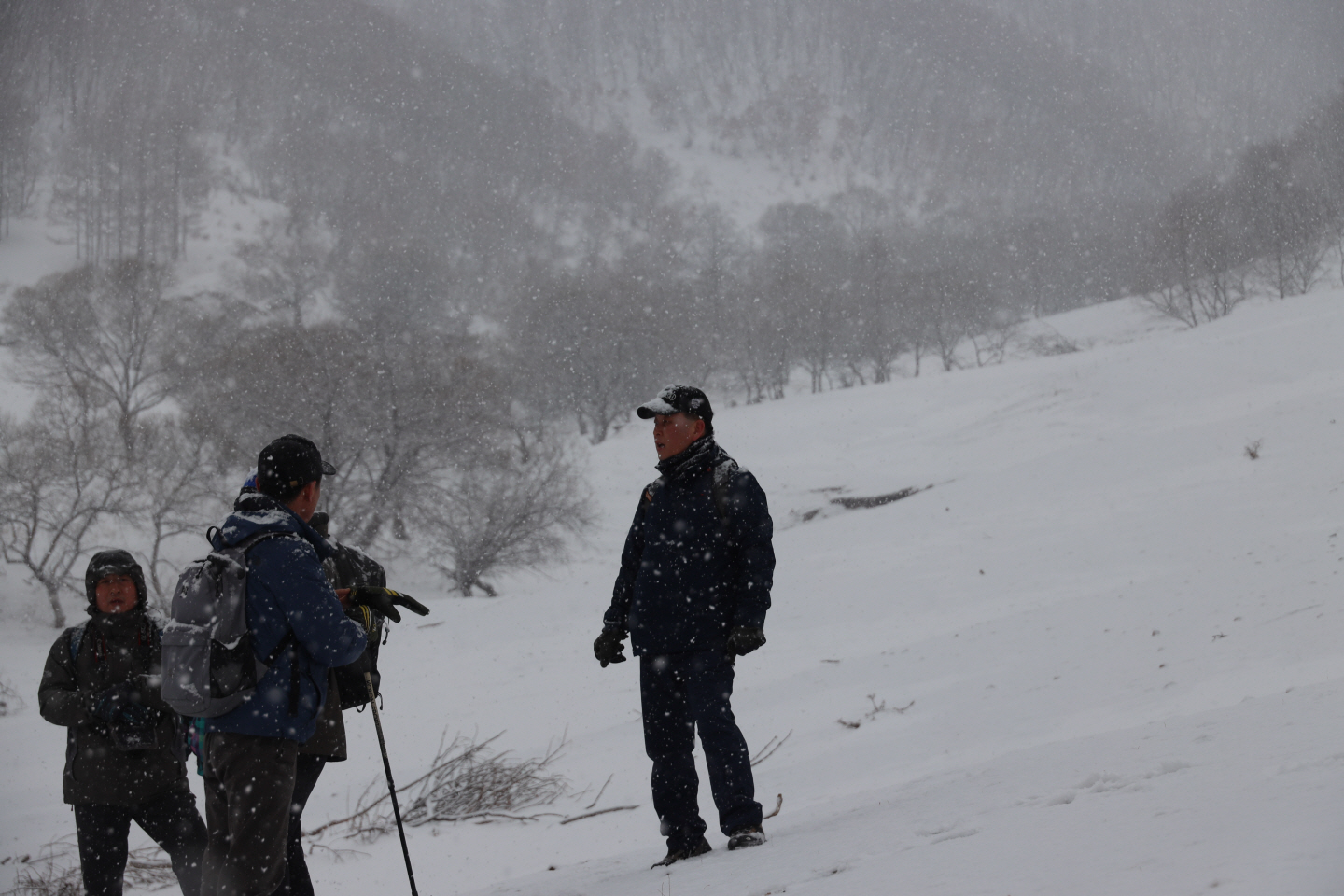 点击查看原图大小