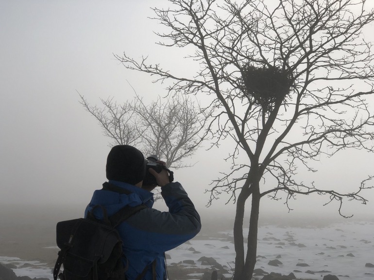 点击查看原图大小