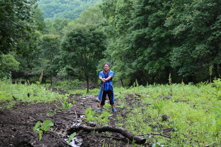 点击查看原图大小