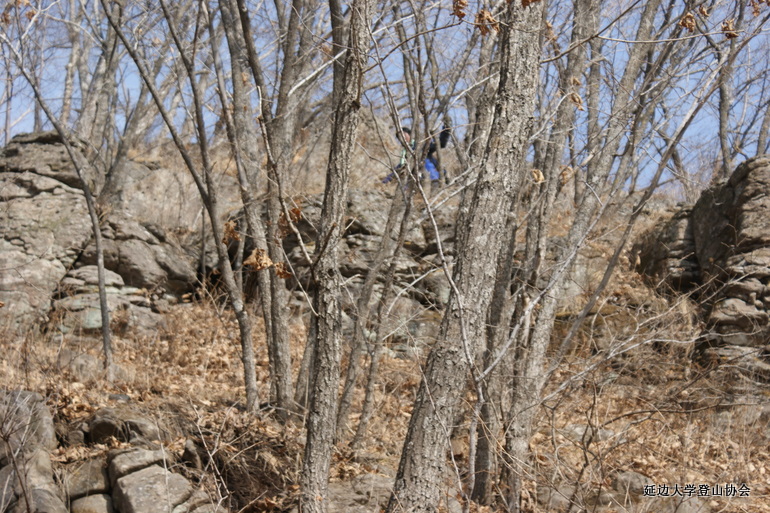 点击查看原图大小