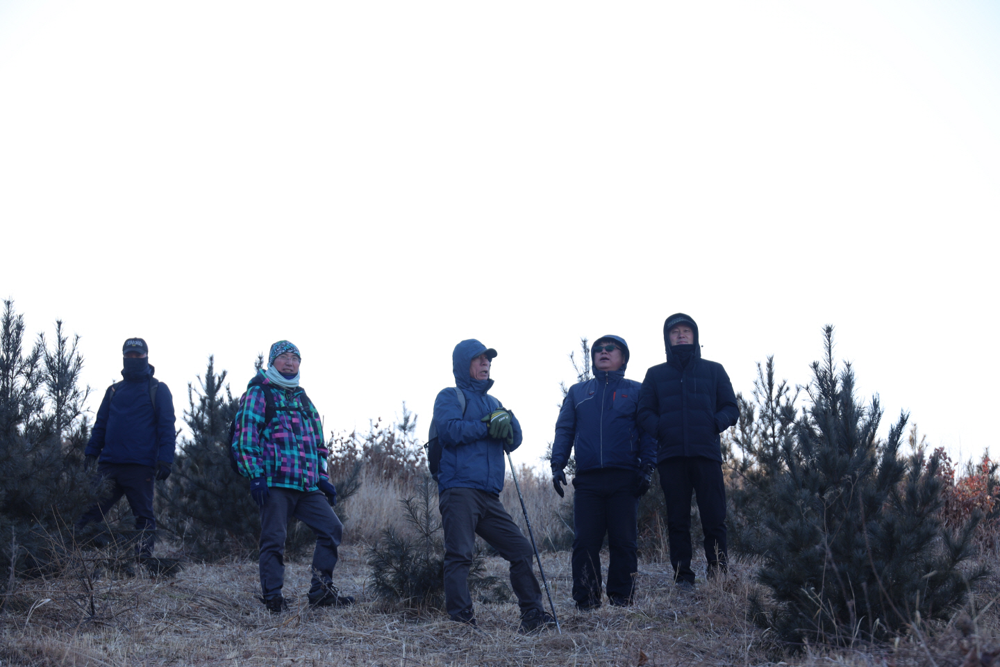 点击查看原图大小