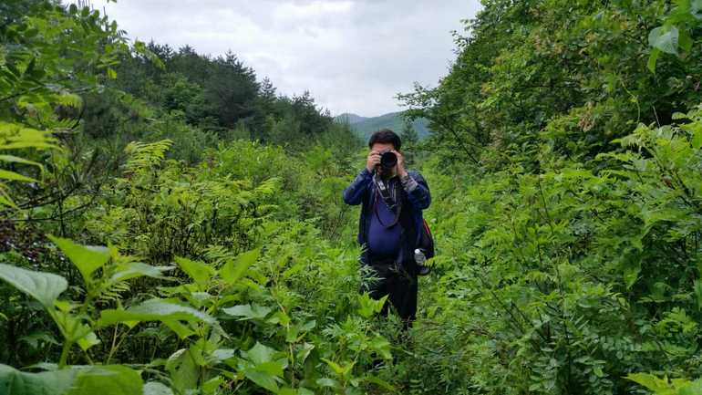 点击查看原图大小