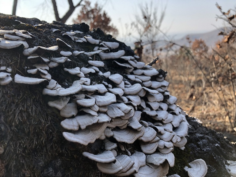 点击查看原图大小