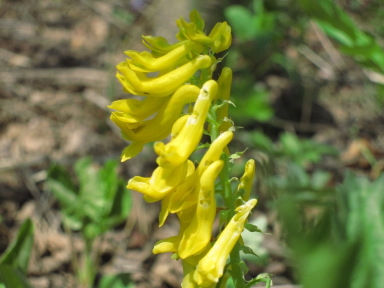 点击查看原图大小