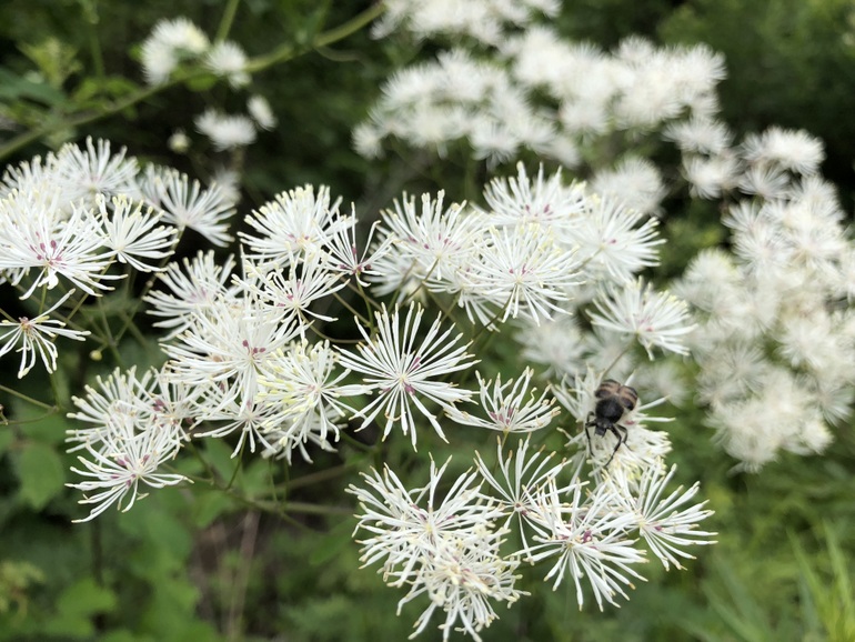 点击查看原图大小