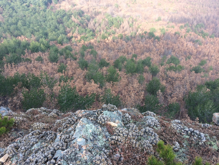 点击查看原图大小