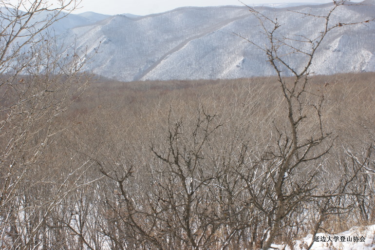 点击查看原图大小