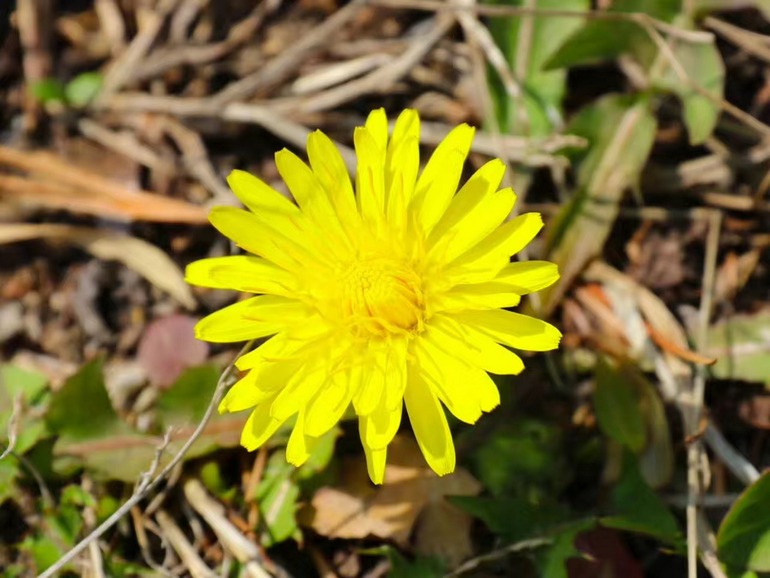 点击查看原图大小