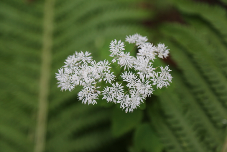 点击查看原图大小